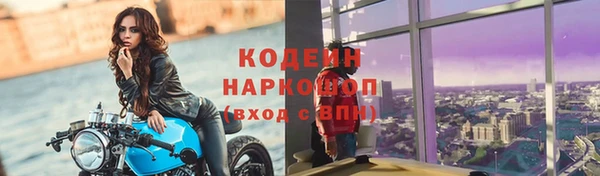 гашик Липки