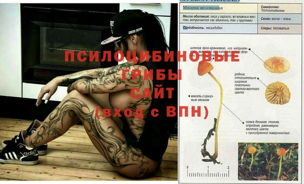 гашик Липки