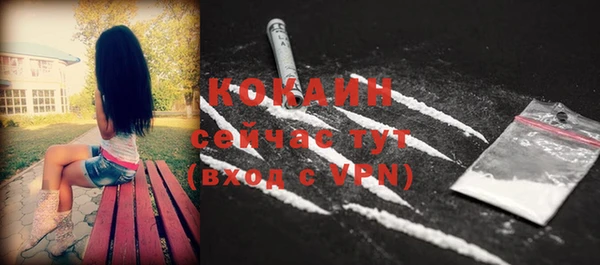 гашик Липки